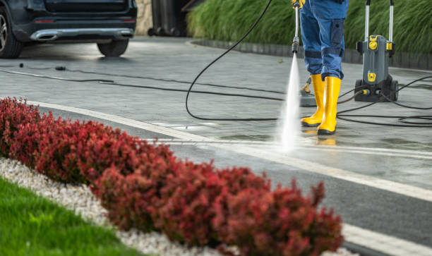 Roof Power Washing Services in Belle Isle, FL